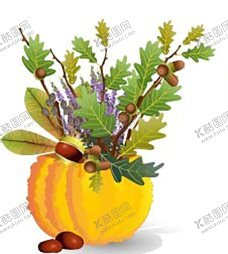 编号：10473810020556287482【酷图网】源文件下载-南瓜花盆叶子