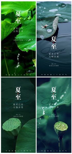 夏至海报系列荷叶地产