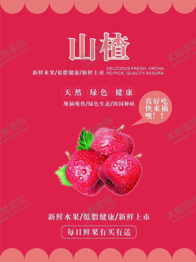 编号：13280501251551375901【酷图网】源文件下载-山楂海报