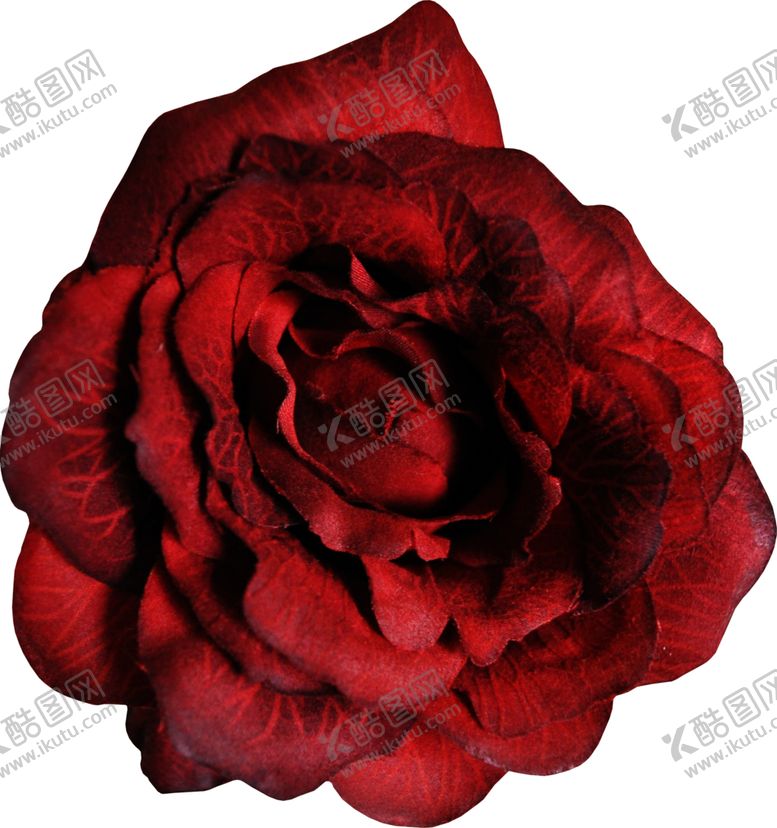 编号：61478406232147331933【酷图网】源文件下载-暗色玫瑰花花朵
