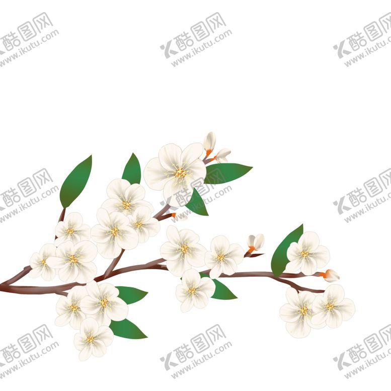 编号：35068601231750067180【酷图网】源文件下载-杏花花枝