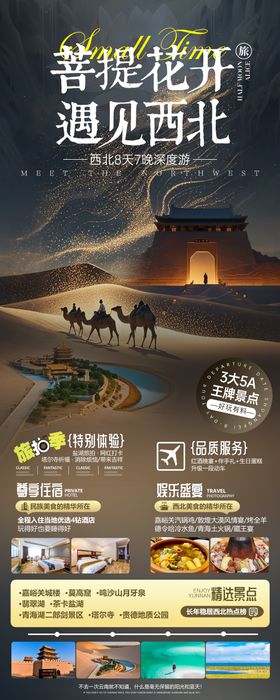 菩提花开遇见西北旅游海报