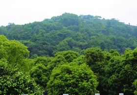 鸾山背景