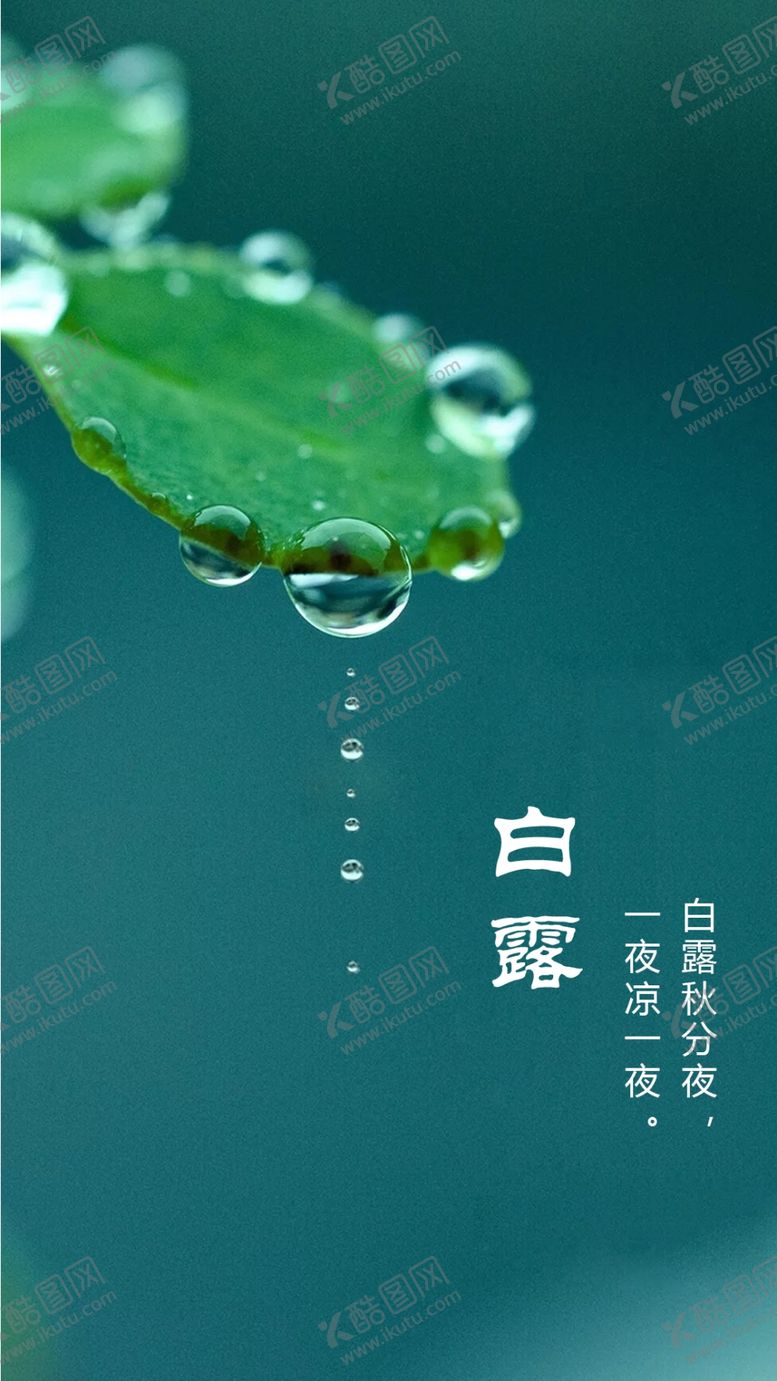编号：59053707122054161304【酷图网】源文件下载-白露