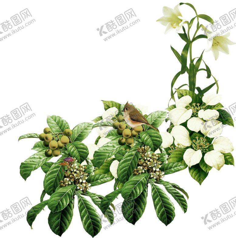 编号：75388510081440541549【酷图网】源文件下载-绿色相框