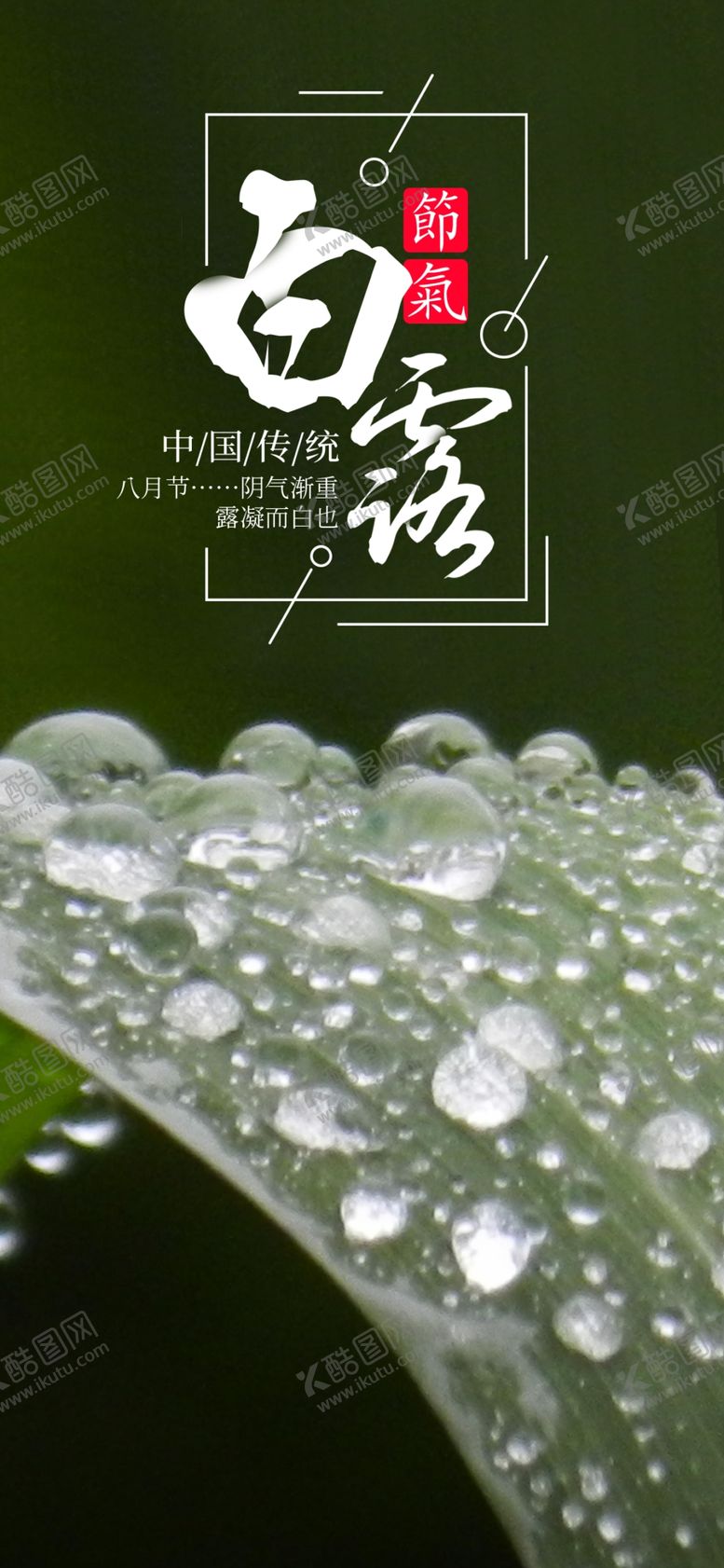 编号：52620411010822001230【酷图网】源文件下载-白露