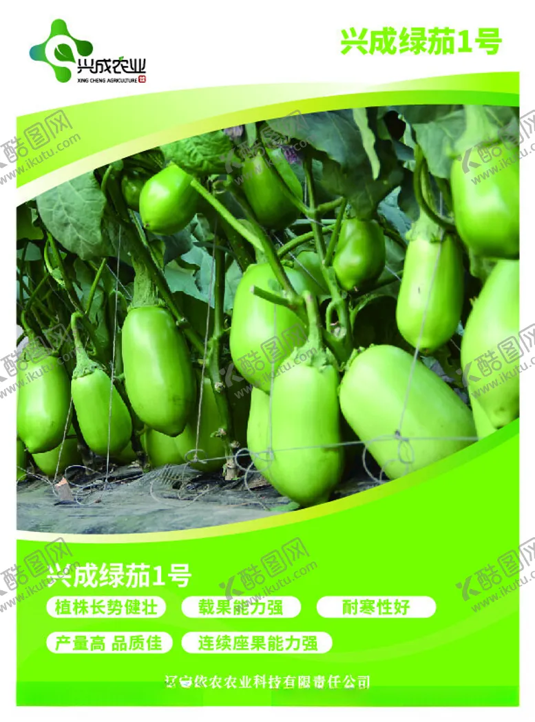 编号：18974001251544514414【酷图网】源文件下载-茄子宣传单