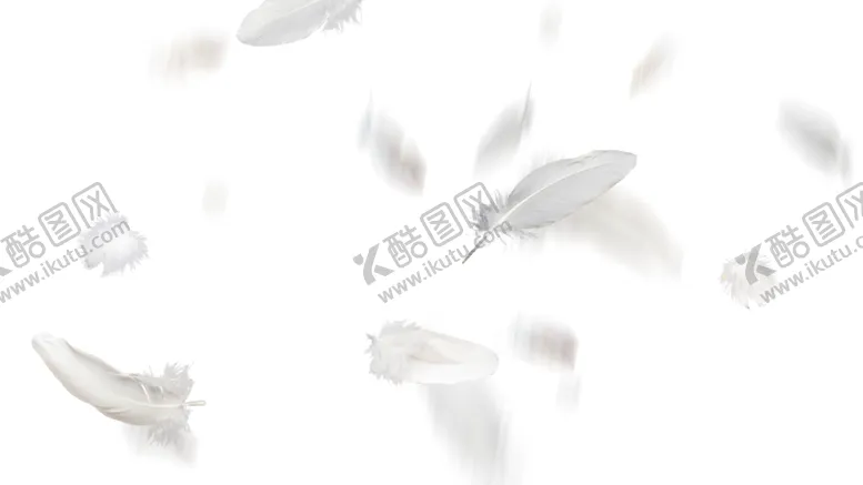 编号：55681902050225181744【酷图网】源文件下载-羽毛