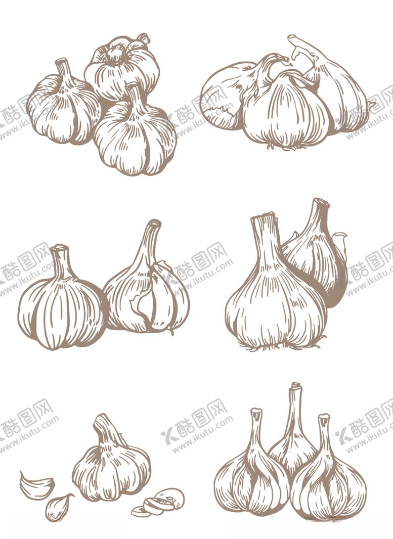 编号：38007009251801264499【酷图网】源文件下载-手绘线描调味品大蒜