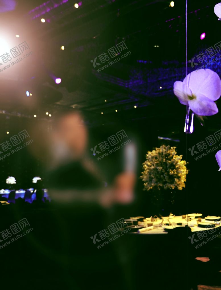 编号：11401109200004398674【酷图网】源文件下载-夜景灯光