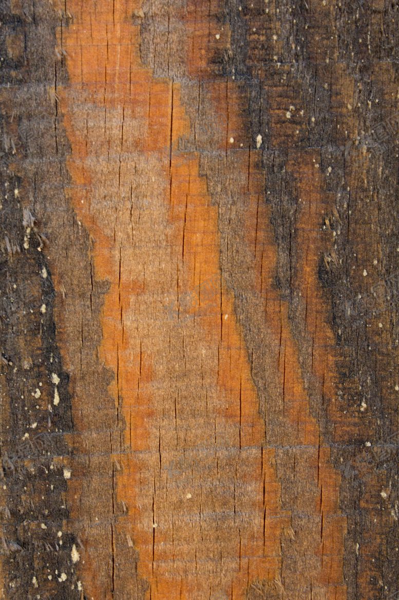 编号：30204509242144334503【酷图网】源文件下载-树皮