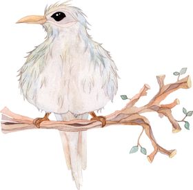水彩插画鸟图案