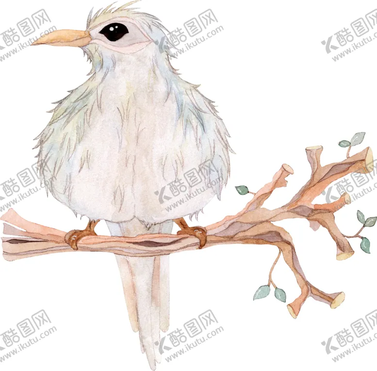 编号：17062306251219594242【酷图网】源文件下载-水彩插画鸟图案