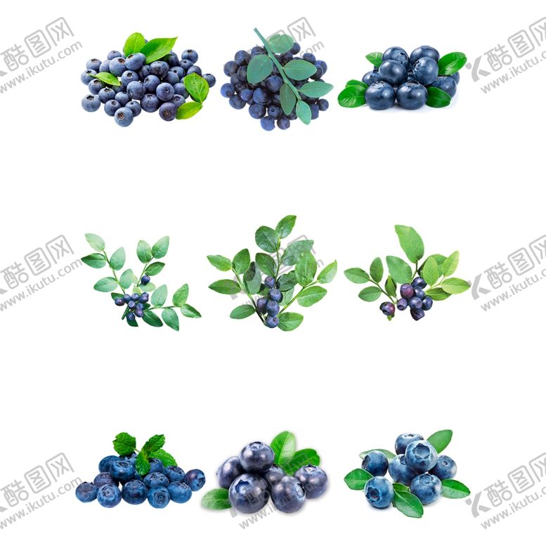编号：72578907141756301835【酷图网】源文件下载-蓝莓