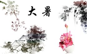 大暑荷花树村舍