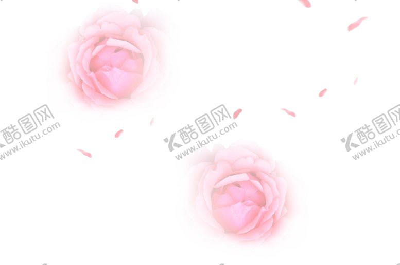编号：72073809220239547723【酷图网】源文件下载-玫瑰花装饰素材