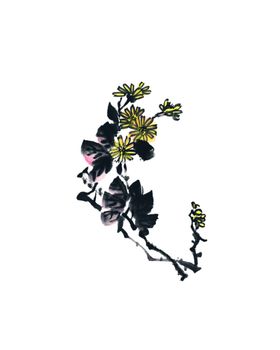 菊花装饰