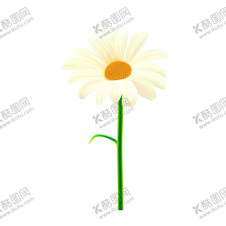 编号：52770109222334394696【酷图网】源文件下载-鲜花装饰