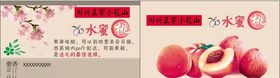 水蜜桃名片卡片桃