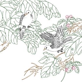 高清透明工笔画线稿之菊花小品