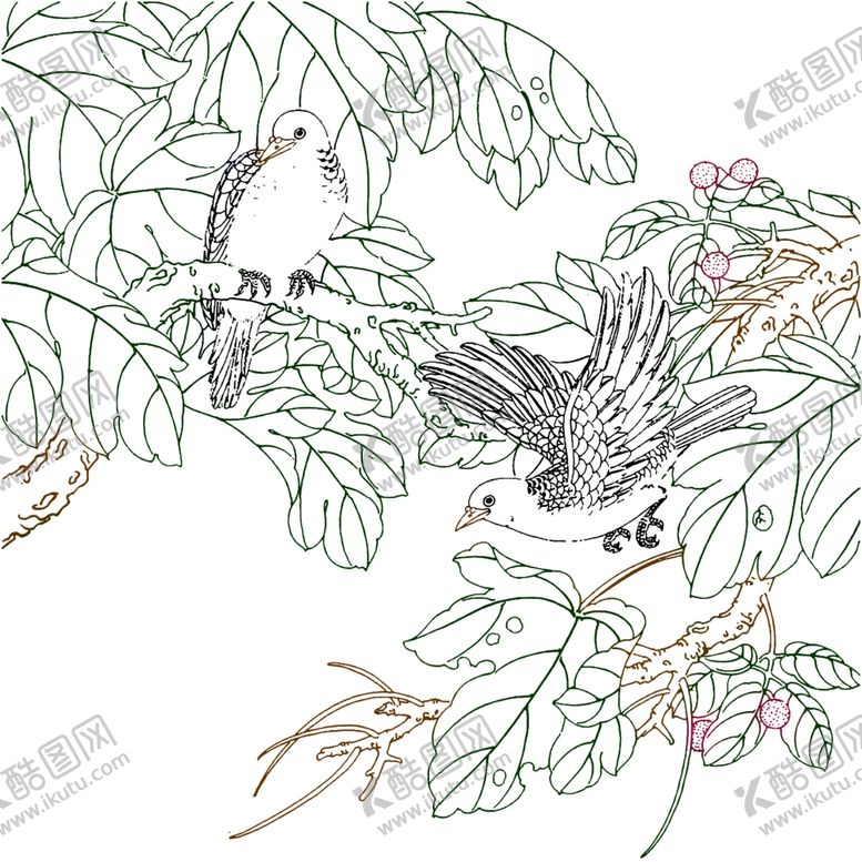 编号：15138509240520438352【酷图网】源文件下载-高清透明工笔花鸟线稿之荔枝趣