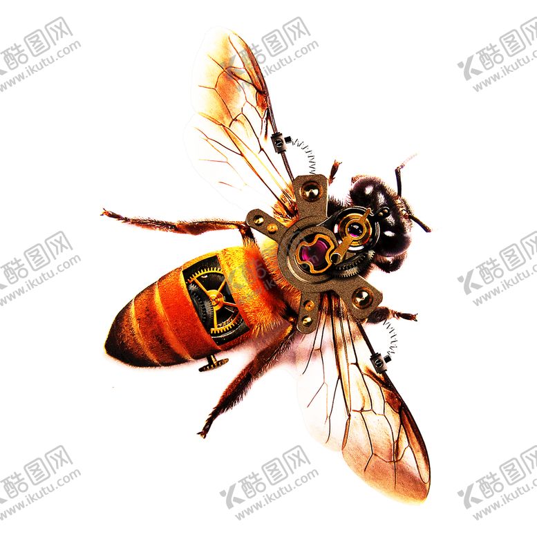 编号：84729109130159032583【酷图网】源文件下载-机械蜜蜂免抠图