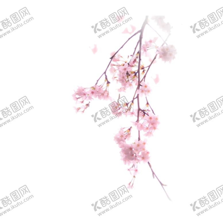 编号：59146405142220335997【酷图网】源文件下载-桃花