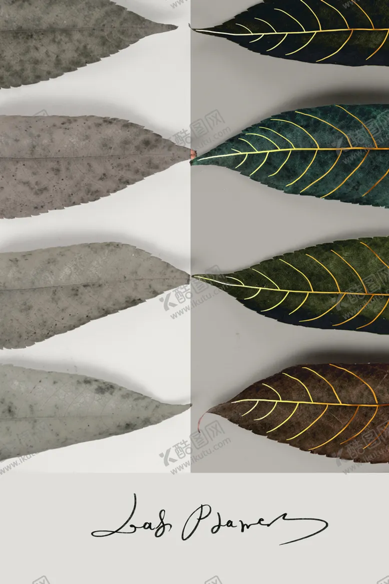 编号：39159010272218529008【酷图网】源文件下载-植物花草装饰挂画