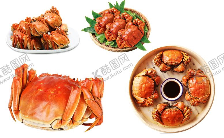 编号：63540112072140412508【酷图网】源文件下载-螃蟹