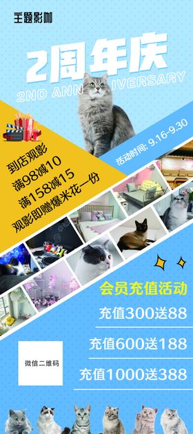 猫咖影咖展架图片