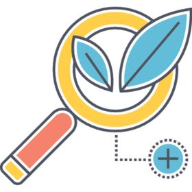搜索引擎优化