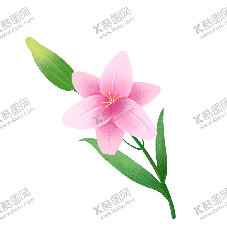 编号：37353002091446474778【酷图网】源文件下载-植物百合花