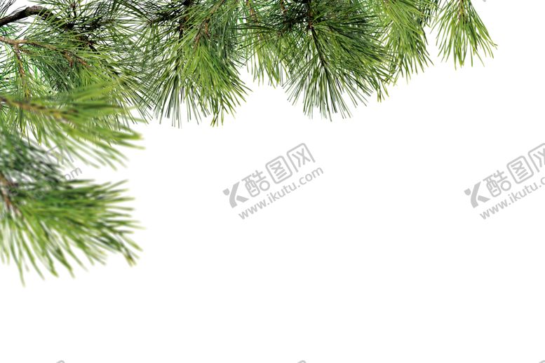 编号：40634207040954177456【酷图网】源文件下载-树枝前景