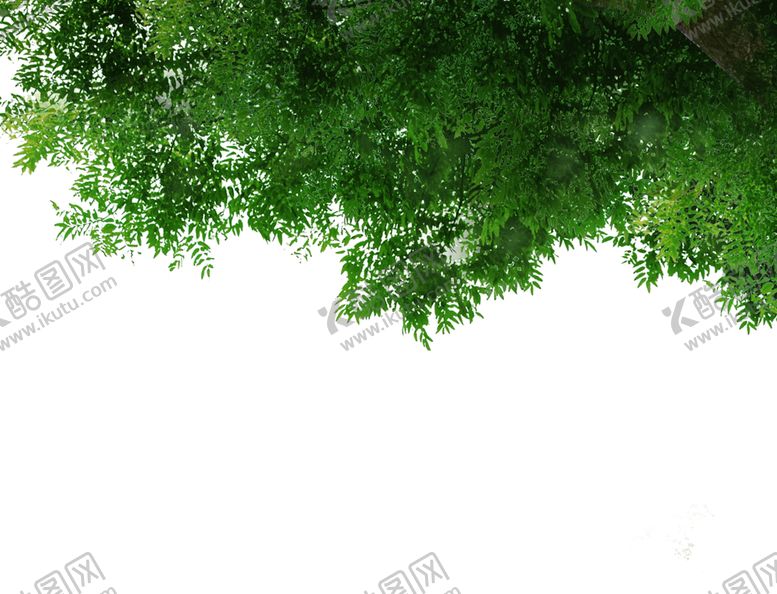 编号：16713010071414308985【酷图网】源文件下载-绿叶
