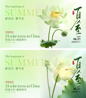 夏至节气海报系列二十四荷花广告展板