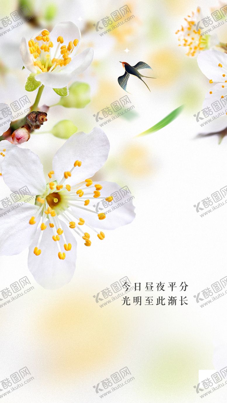 编号：84638402190418118719【酷图网】源文件下载-春暖花开