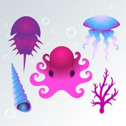 海洋生物海底动物插图