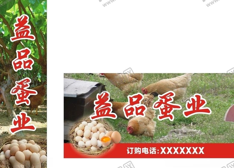 编号：80551405101623228765【酷图网】源文件下载-鸡蛋
