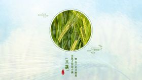 小满海报中国风节气24节气全套处暑