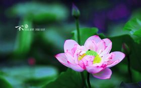 唯美走廊风景图片