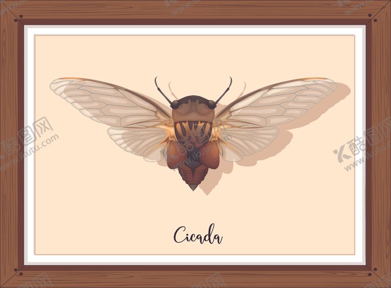 编号：44348309161332453969【酷图网】源文件下载-卡通昆虫