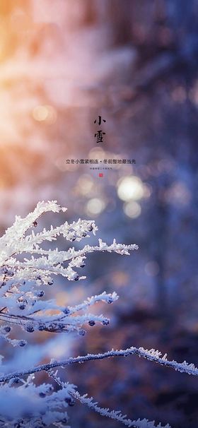 编号：50478609190551118147【酷图网】源文件下载-小雪