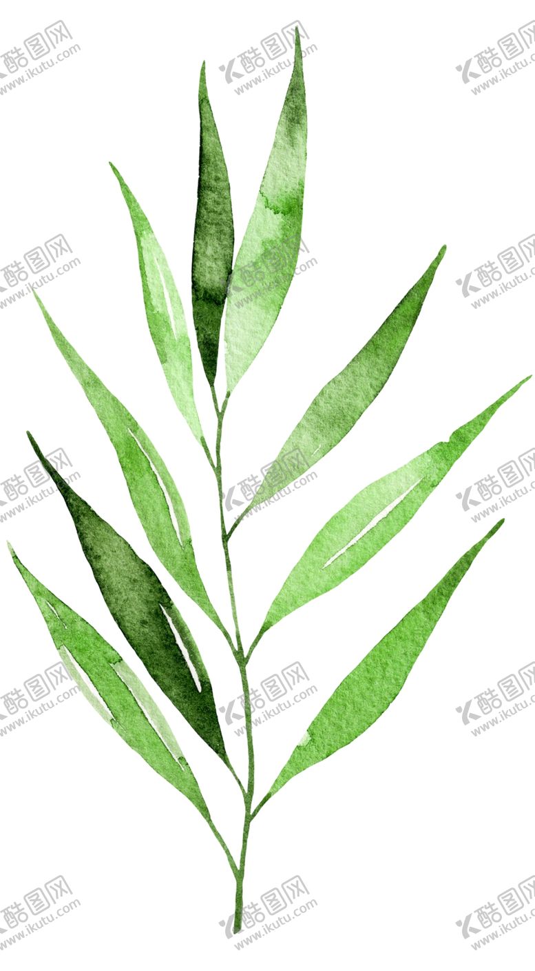 编号：55680710210155097823【酷图网】源文件下载-绿叶