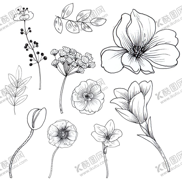 编号：87531209280645418160【酷图网】源文件下载-线描花朵