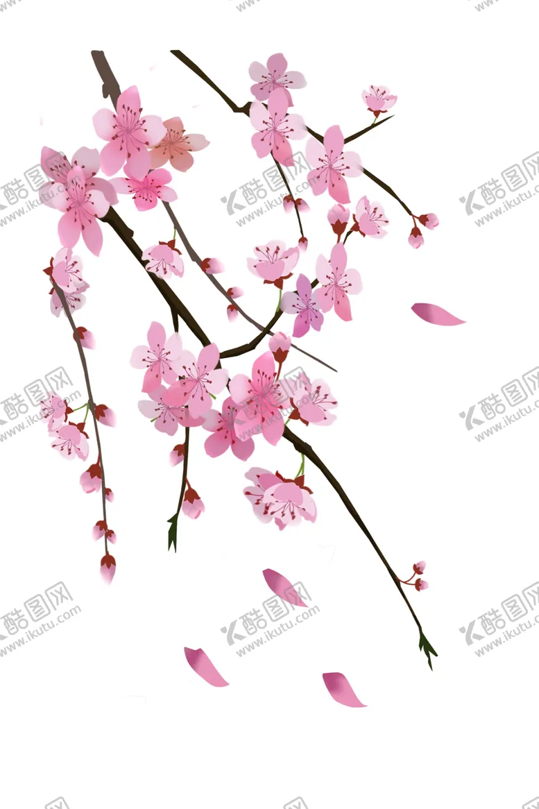 编号：91601402071858353928【酷图网】源文件下载-梅花桃花PNG