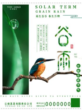 谷雨雨水海报