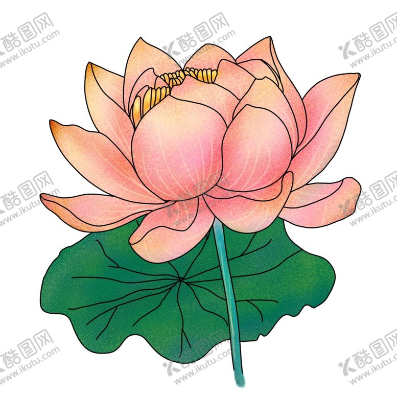 编号：39444301131704584703【酷图网】源文件下载-手绘荷花