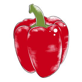 彩色素描蔬菜