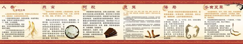 编号：56948109291915381398【酷图网】源文件下载-中药简介