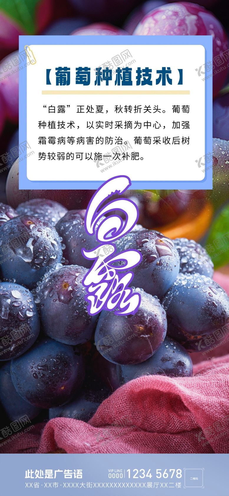 编号：20915401202048389301【酷图网】源文件下载-白露